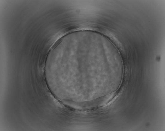 X0000094341185200711241845