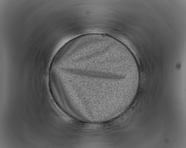 X0000094341187200711241845