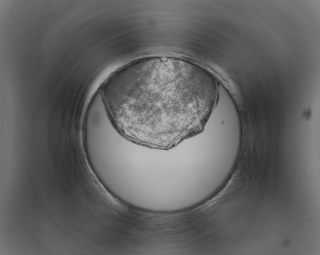 X0000094341188200711241845