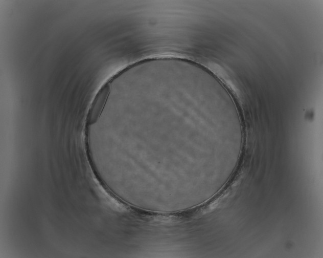 X0000094341189200711241845