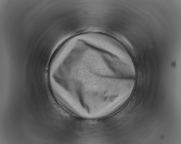 X0000094341190200711241845