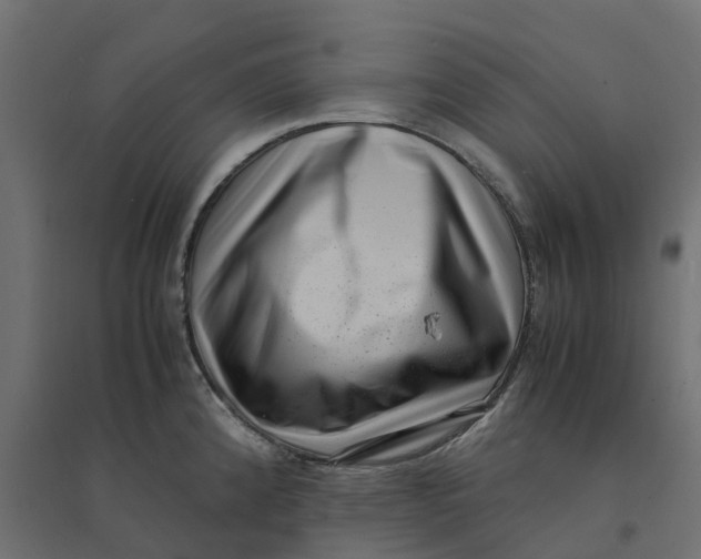 X0000094341192200711241845