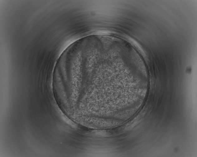 X0000094341194200711241845