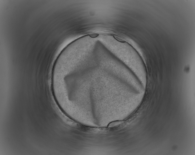 X0000094341195200711241845