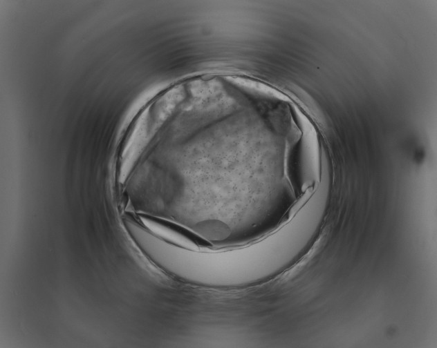 X0000094341196200711241845