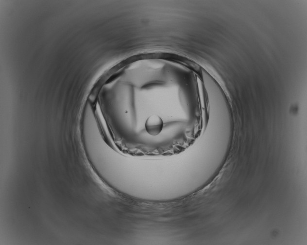 X0000094341197200711241845