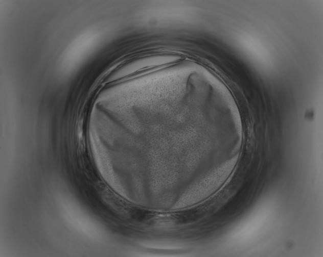 X0000094341198200711241845