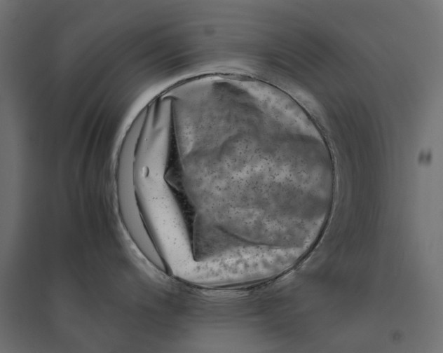 X0000094341200200711241845