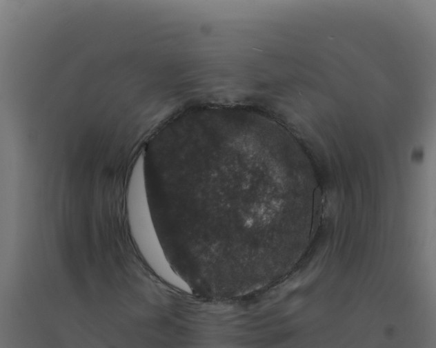 X0000094341202200711241844