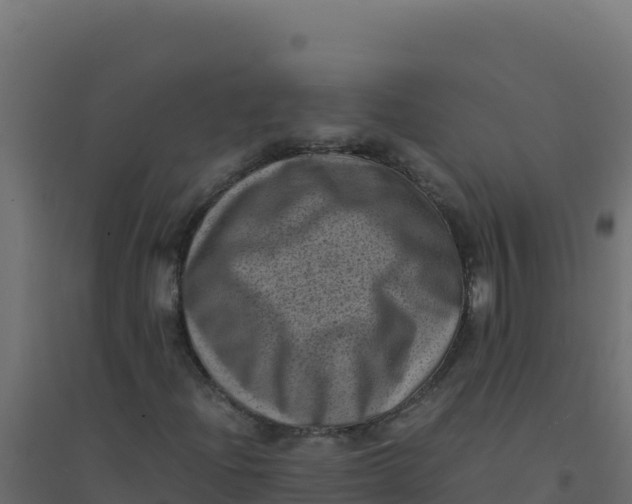 X0000094341204200711241844