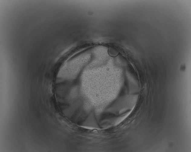 X0000094341205200711241844