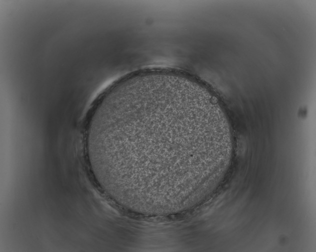 X0000094341208200711241844