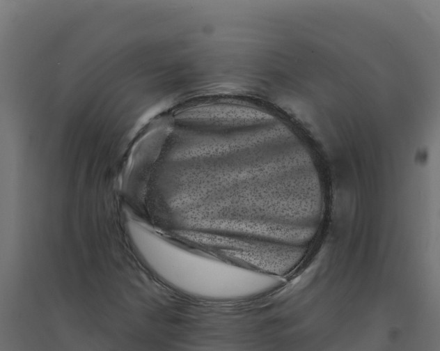 X0000094341210200711241844