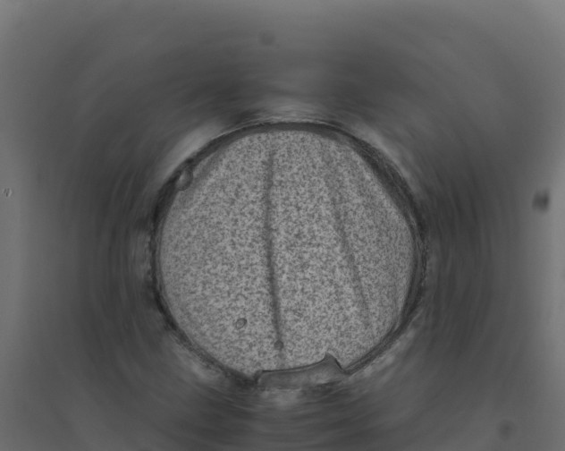 X0000094341211200711241844