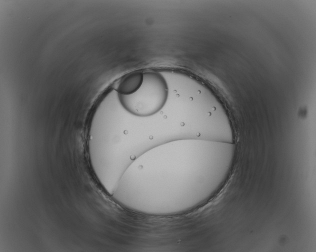 X0000094341212200711241844