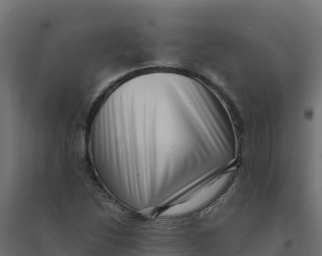 X0000094341214200711241844