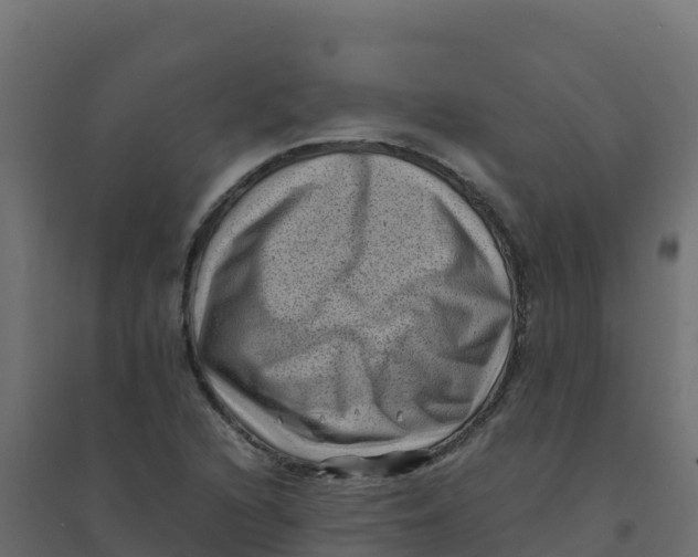 X0000094341216200711241844