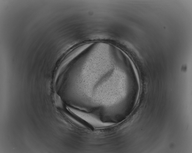 X0000094341217200711241844