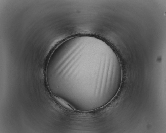 X0000094341218200711241844