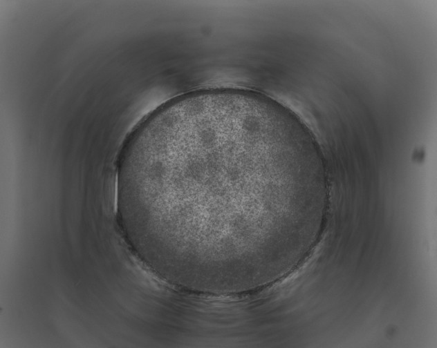 X0000094341219200711241844