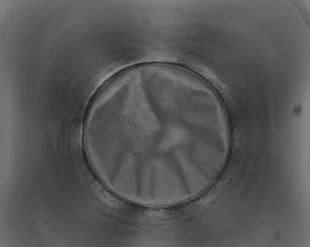 X0000094341220200711241844