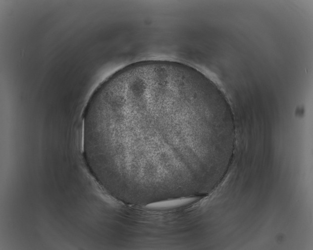 X0000094341223200711241844