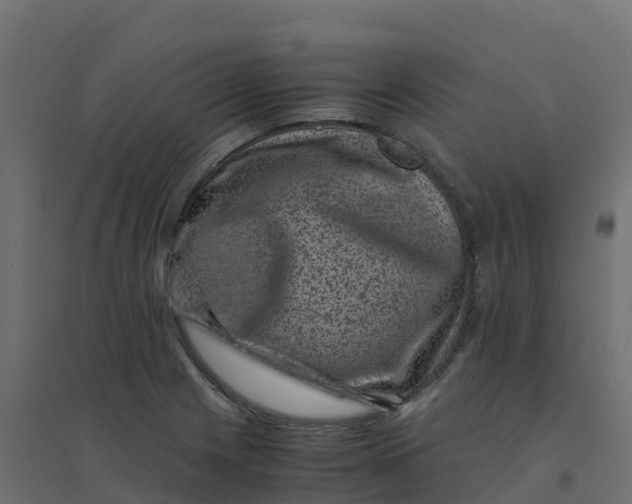 X0000094341225200711241844