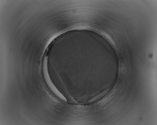 X0000094341226200711241844