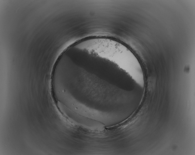 X0000094341229200711241844