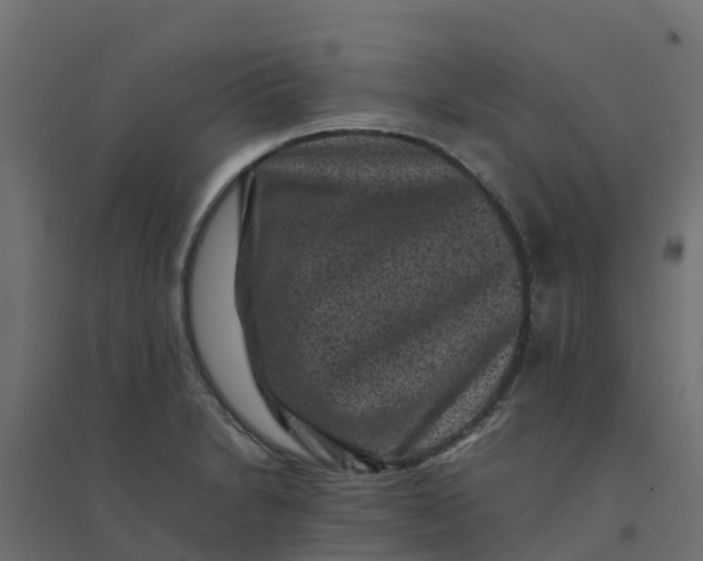 X0000094341230200711241845