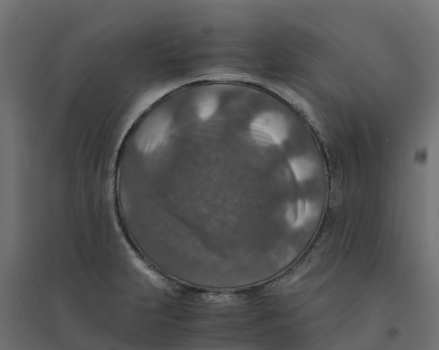 X0000094341231200711241845