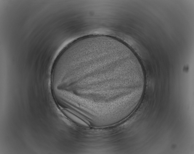 X0000094341232200711241845