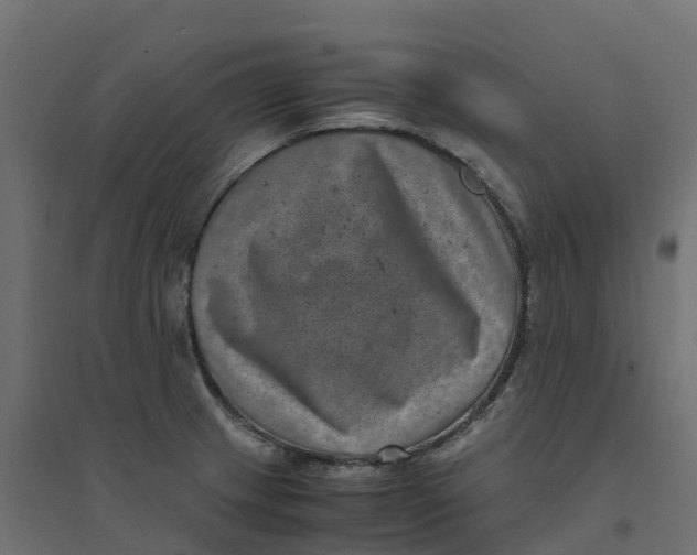 X0000094341233200711241845