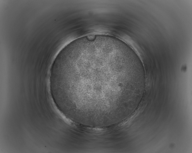 X0000094341235200711241845