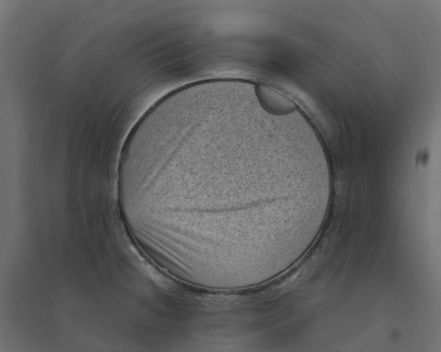 X0000094341236200711241845