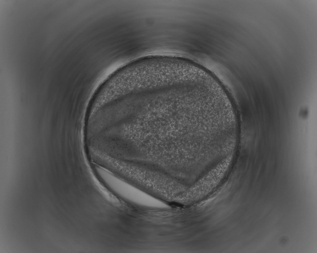 X0000094341237200711241845