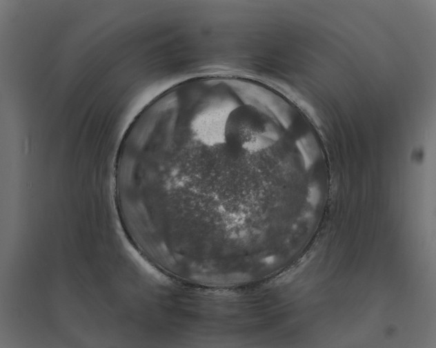 X0000094341239200711241845