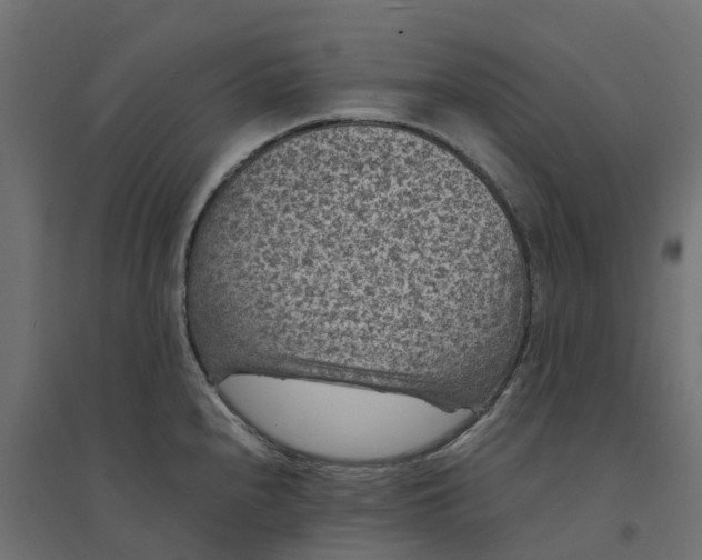 X0000094341240200711241845