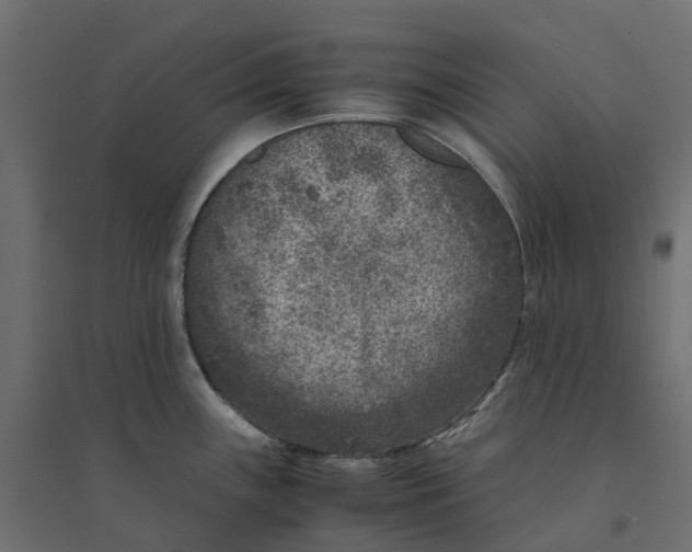 X0000094341243200711241845