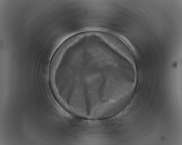 X0000094341244200711241845