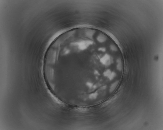 X0000094341245200711241845