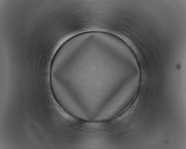 X0000094341246200711241845