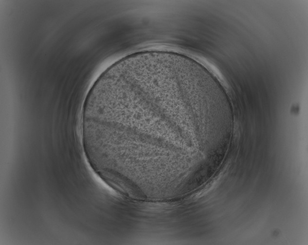 X0000094341247200711241845