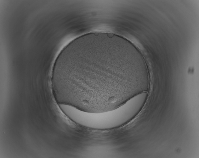 X0000094341248200711241845