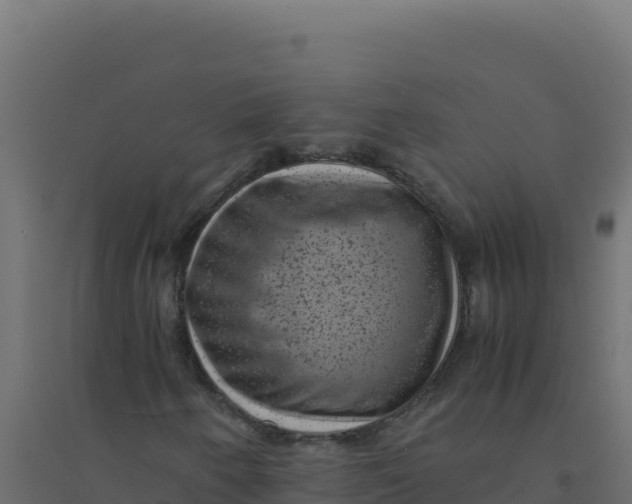 X0000094341250200711241844