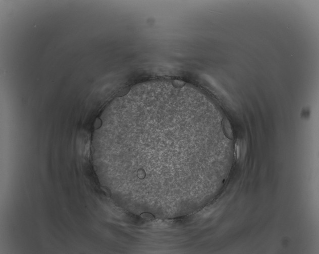 X0000094341251200711241844