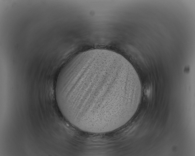 X0000094341252200711241844