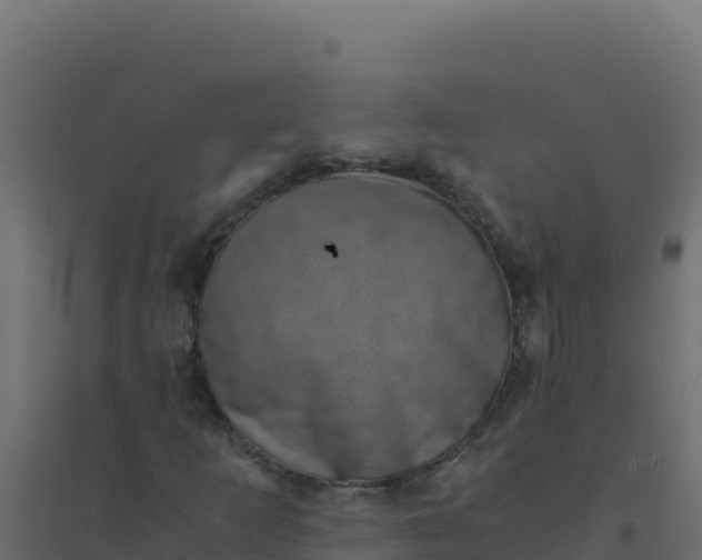 X0000094341253200711241844