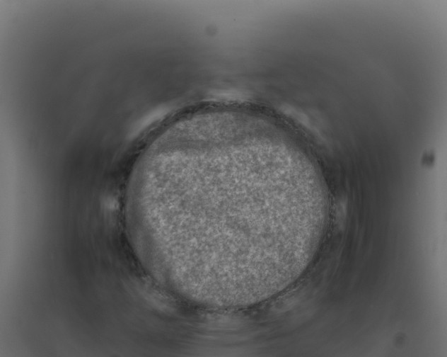 X0000094341254200711241844