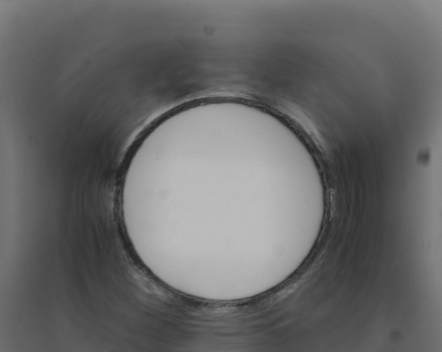 X0000094341260200711241844